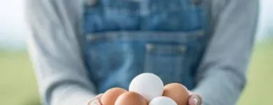 La imagen 2 de la Empresa AVICRUZ Carnicería en Arequipa ARE