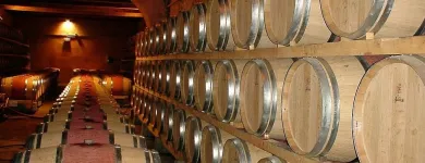 La imagen 1 de la Empresa DILO CON PISCO Bodega en Lima LAM