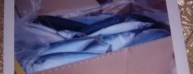 La imagen 1 de la Empresa ENCORQ S.A.C. Supermercado en Chiclayo Lambayeque