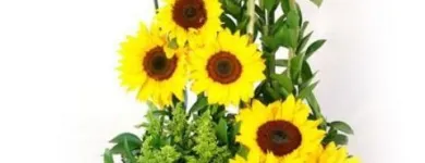 La imagen 1 de la Empresa FLORERIA TALLOS Y MIEL - RIMAC Flores en Lima LAM