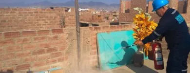 La imagen 4 de la Empresa FUMIGACIONES SATIMAR Servicio de control de plagas en Callao Perú