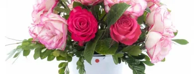 La imagen 3 de la Empresa GIFTYFLOR - FLORERIAS EN LIMA - TIENDA DE FLORES Y REGALOS ONLINE Florerías en Lima LAM