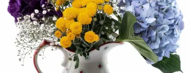 La imagen 4 de la Empresa GIFTYFLOR - FLORERIAS EN LIMA - TIENDA DE FLORES Y REGALOS ONLINE Florerías en Lima LAM