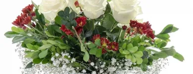 La imagen 11 de la Empresa GIFTYFLOR - FLORERIAS EN LIMA - TIENDA DE FLORES Y REGALOS ONLINE Florerías en Lima LAM