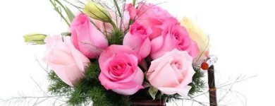 La imagen 16 de la Empresa GIFTYFLOR - FLORERIAS EN LIMA - TIENDA DE FLORES Y REGALOS ONLINE Florerías en Lima LAM