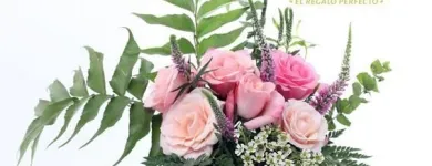 La imagen 17 de la Empresa GIFTYFLOR - FLORERIAS EN LIMA - TIENDA DE FLORES Y REGALOS ONLINE Florerías en Lima LAM