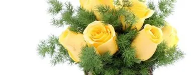 La imagen 18 de la Empresa GIFTYFLOR - FLORERIAS EN LIMA - TIENDA DE FLORES Y REGALOS ONLINE Florerías en Lima LAM