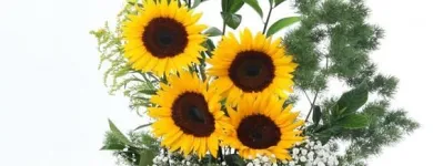 La imagen 21 de la Empresa GIFTYFLOR - FLORERIAS EN LIMA - TIENDA DE FLORES Y REGALOS ONLINE Florerías en Lima LAM