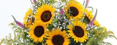 La imagen 24 de la Empresa GIFTYFLOR - FLORERIAS EN LIMA - TIENDA DE FLORES Y REGALOS ONLINE Florerías en Lima LAM