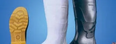 La imagen 1 de la Empresa GOTTARDO SAC Zapatería en Cercado De Lima LAM