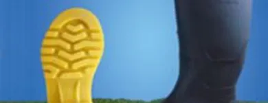 La imagen 3 de la Empresa GOTTARDO SAC Zapatería en Cercado De Lima LAM