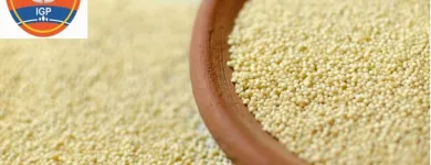 La imagen 2 de la Empresa INDUSTRIA DE GRANOS DEL PERÚ S.A.C. Tostadora en Lima LAM