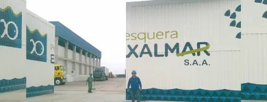 La imagen 3 de la Empresa LOPEZ SISTEMAS LEVADIZOS Puertas y sistemas de puertas en Lima LAM