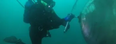 La imagen 1 de la Empresa LUFESA DIVER'S Puerto en Callao Perú