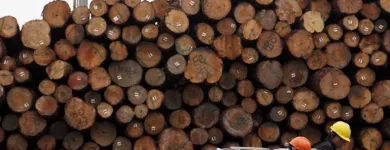 La imagen 1 de la Empresa MADERERA FREMAR Servicio de instalación de suelos de madera en Lima LAM