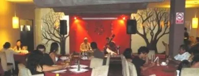 La imagen 1 de la Empresa MANTRA INDIAN CUISINE Thali en Miraflores LAM