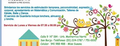 La imagen 1 de la Empresa NIDO BRIGHT MEADOWS Psicomotricidad en Lima LAM