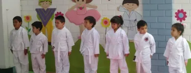 La imagen 3 de la Empresa NIDO BRIGHT MEADOWS Psicomotricidad en Lima LAM