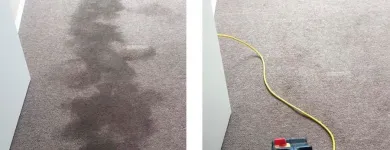 La imagen 3 de la Empresa PROCLEANER Servicio de limpieza de alfombras en Lima LAM