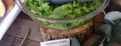 La imagen 4 de la Empresa RUPHAY RESTAURANTE BOUTIQUE Restaurante en Cusco CUS
