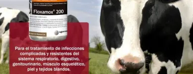 La imagen 2 de la Empresa VETANIS S.A.C. Veterinario en Lima LAM