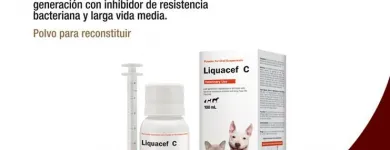 La imagen 5 de la Empresa VETANIS S.A.C. Veterinario en Lima LAM