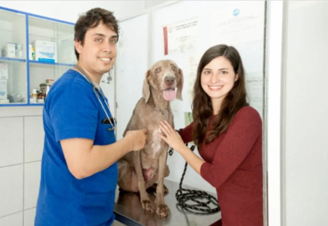 La imagen 2 de la Empresa VETERIANARIA MAR DE COLAS