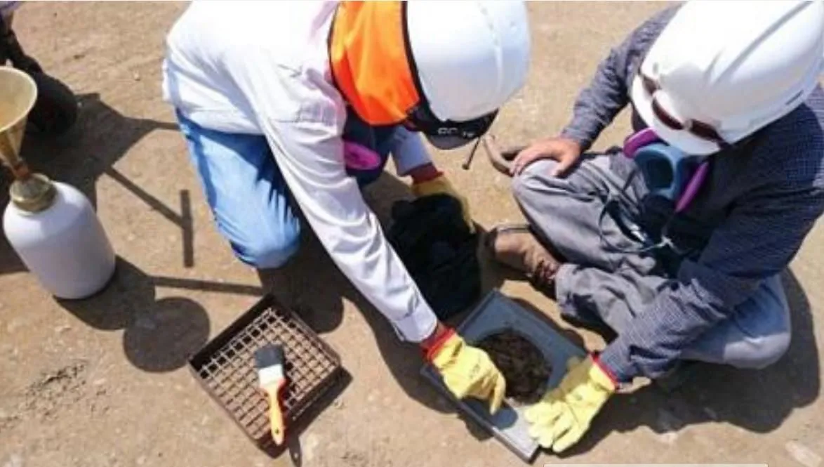 La imagen 5 de la Empresa DOMO VERA CONSULTORÍA Y CONSTRUCCIÓN