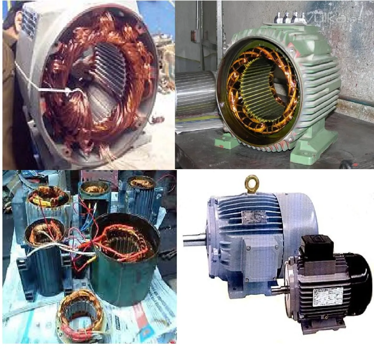 La imagen 5 de la Empresa RINDUSEL S.A.C