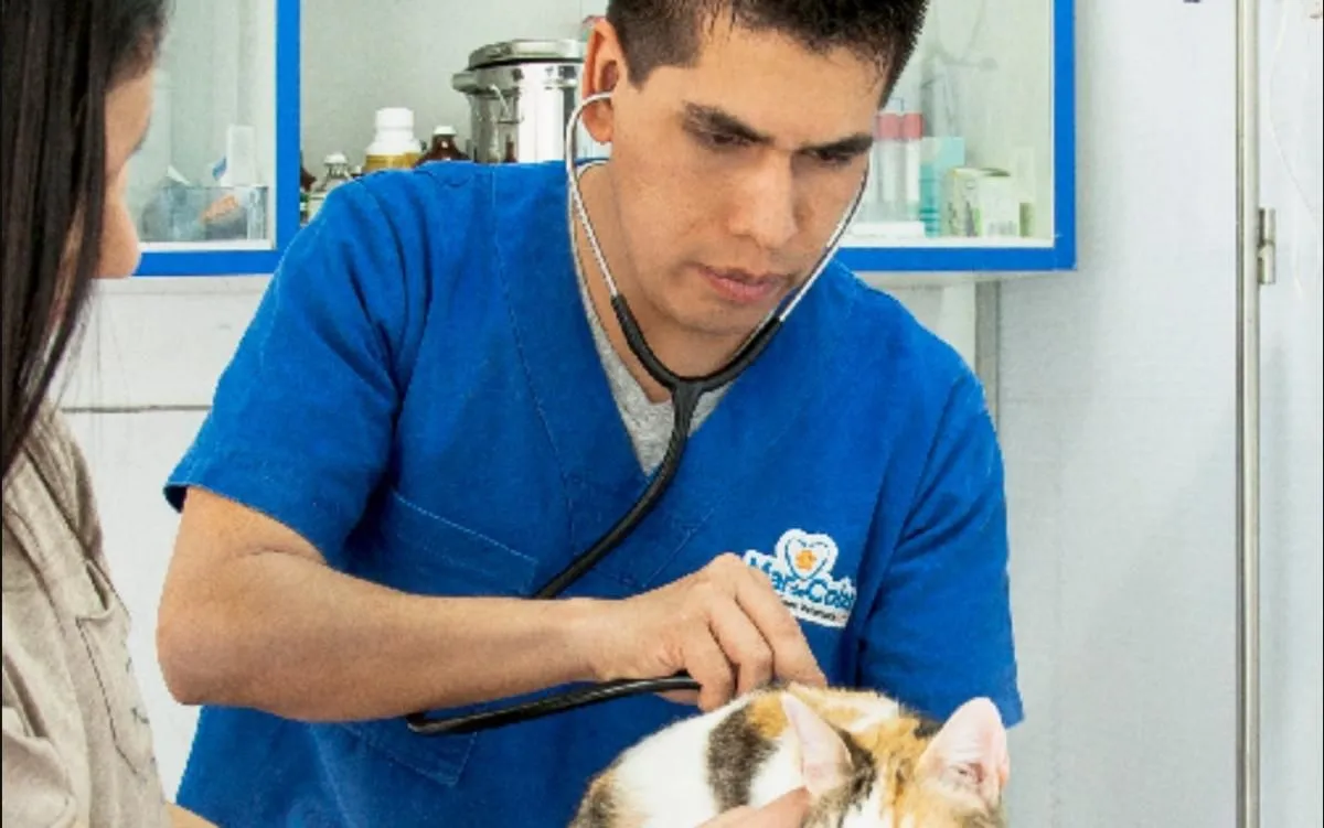 La imagen 5 de la Empresa VETERIANARIA MAR DE COLAS