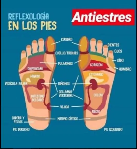La imagen 1 de la Empresa ANTIESTRES RELAJACIÓN FISICO MENTAL