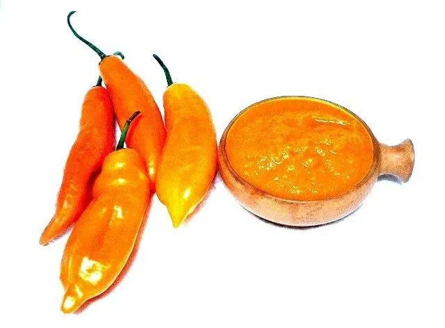 La imagen 2 de la Empresa ACRIOLLO ADEREZOS Y SALSAS