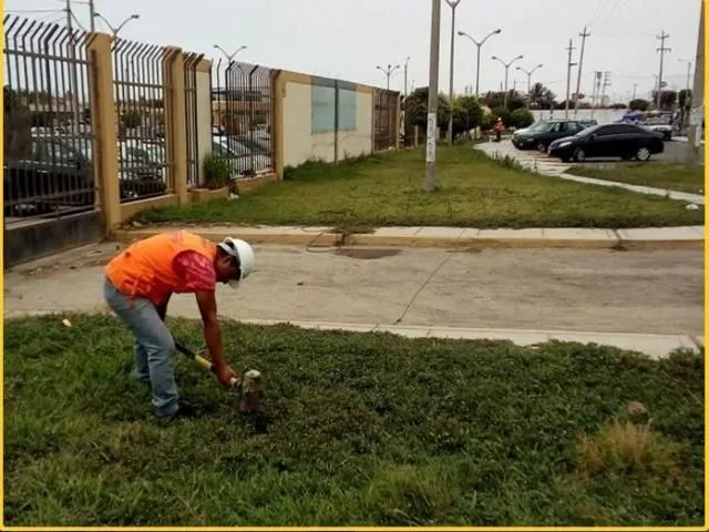 La imagen 1 de la Empresa PEPAKEL