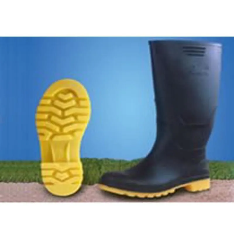 La imagen 3 de la Empresa GOTTARDO SAC