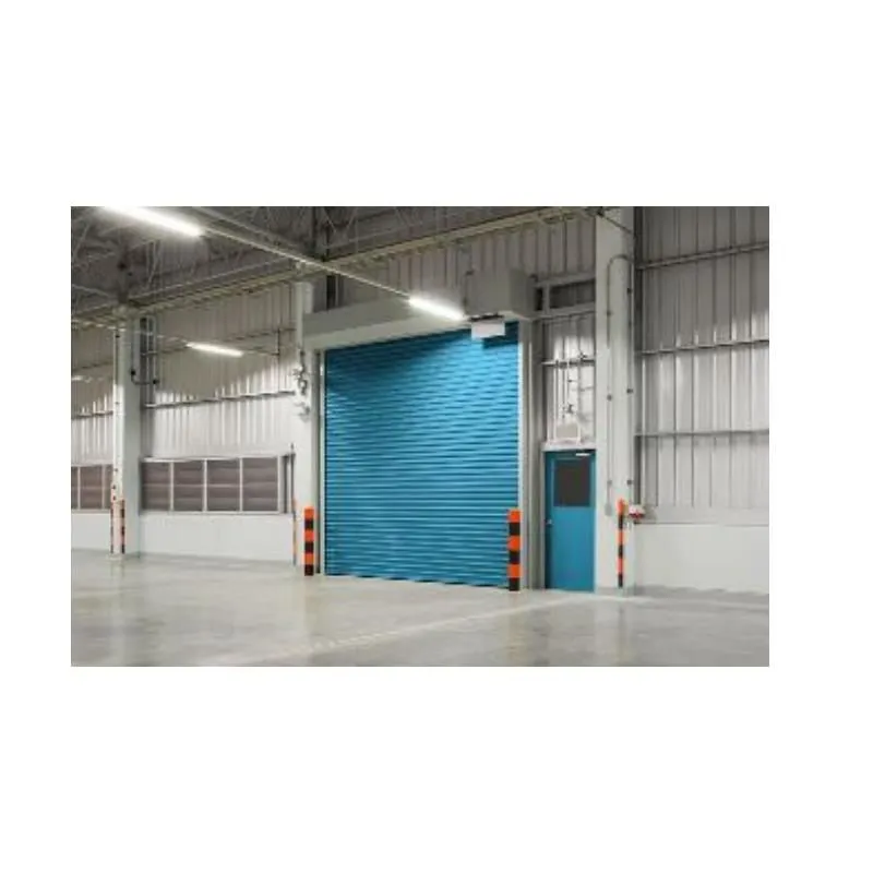 La imagen 5 de la Empresa PROVEE-DOORS LIFT MASTER