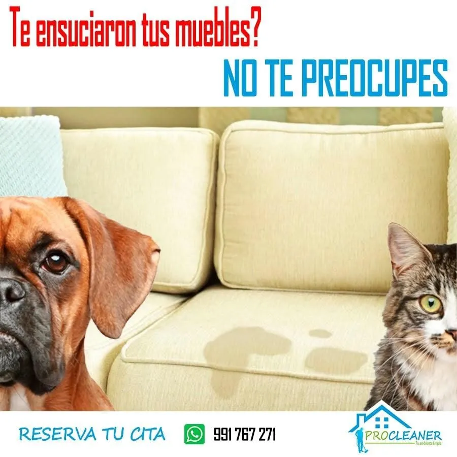 La imagen 2 de la Empresa PROCLEANER