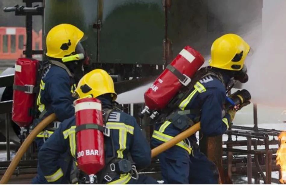 La imagen 1 de la Empresa LOGISEXPORT