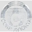 AYKAWA CORP SERV ABAST Y OPERAC S.R.L. Venta Minorista Articulos de Ferreteria en Surquillo LAM