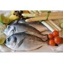 ABANTO FISH Mayorista de mariscos en Lima LAM
