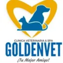 CLINICA VETERINARIA & SPA GOLDENVET Veterinario en Tacna TAC