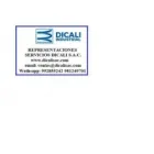 REPRESENTACIONES SERVICIOS DICALI S.A.C.