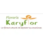 FLORERIA KARYFLOR