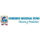 GOBIERNO REGIONAL PUNO