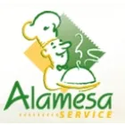 ALAMESA SERVICE SRL