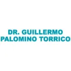 PALOMINO TORRICO WILFREDO